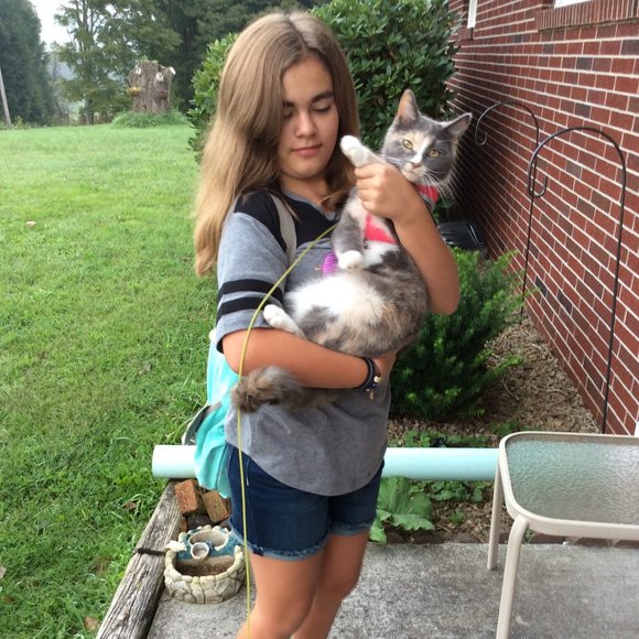 CLOSET CLEAN OUT! BUNDLE 3 OR MORE FOR 50% OFF - Picture 13 of 16